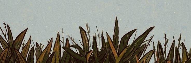 ItsGraceBoylan's profile banner image