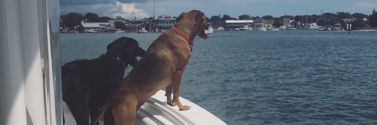 kateddodd's profile banner image