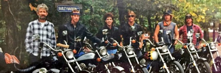 adylina brooke banner