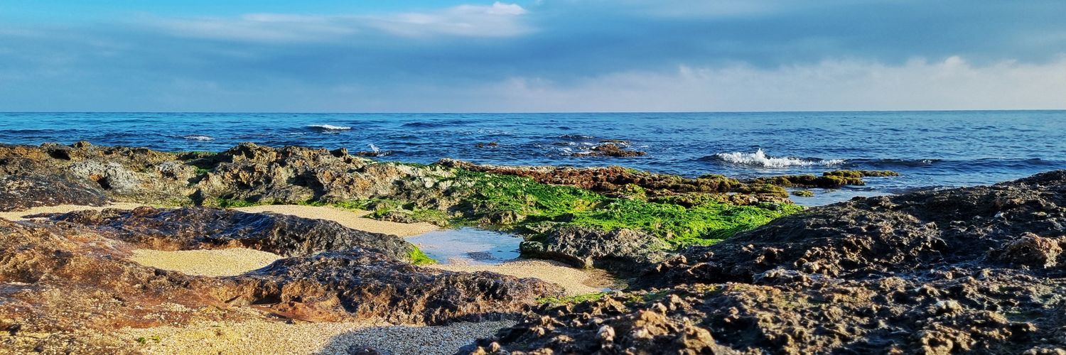 iralia 🐀 💭 banner