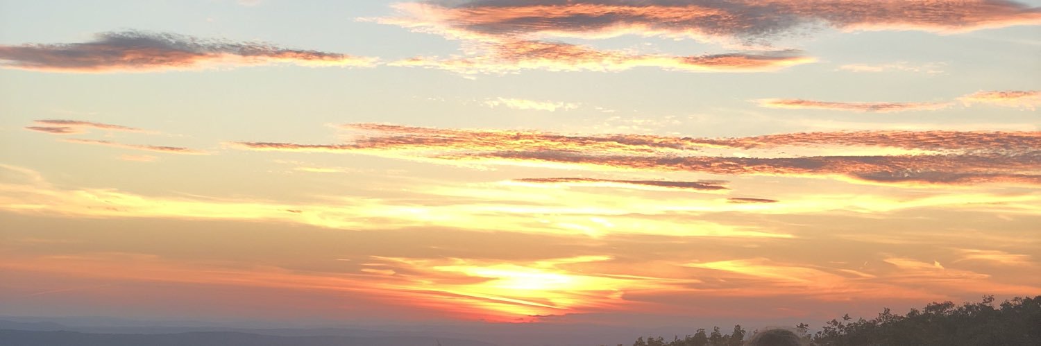 devonblood's profile banner image