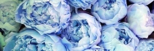 herbstmxchen_'s profile banner image