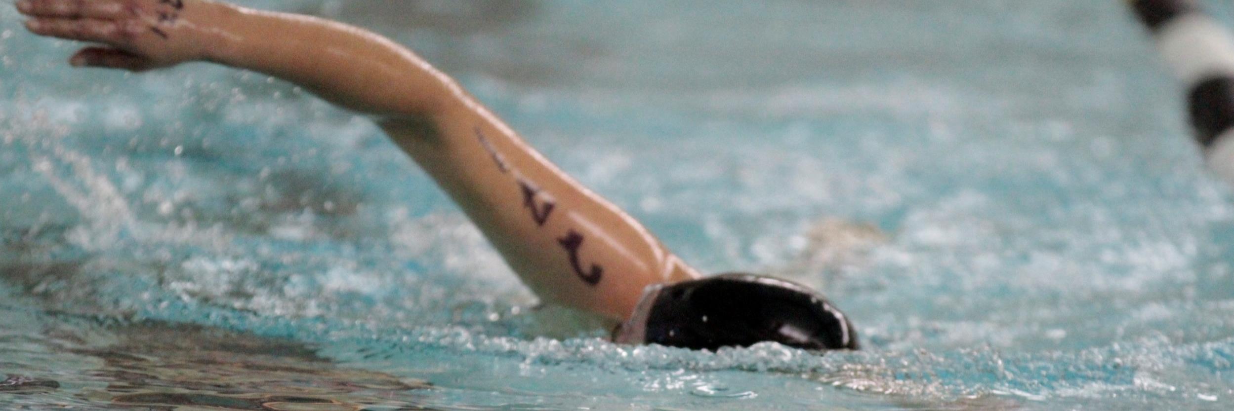 Linda D'Alessandro banner