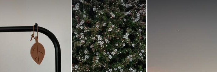 gesmpar's profile banner image
