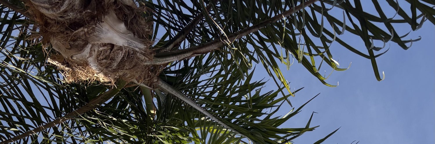 DtrejoG's profile banner image