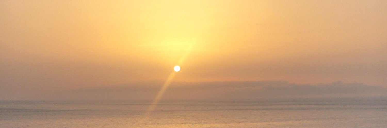 RachelSeale's profile banner image