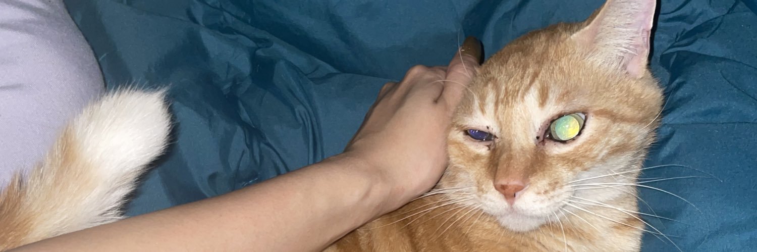 7756p3's profile banner image