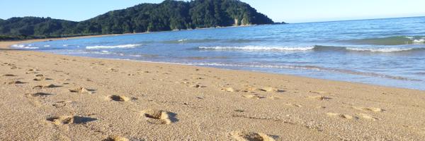 margotmk Profile Banner