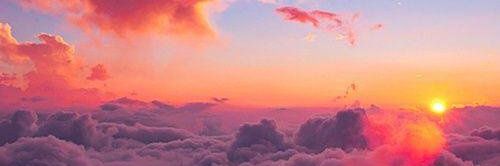 RossettiNicolas's profile banner image