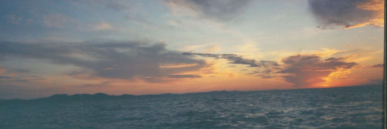 alicia9818's profile banner image