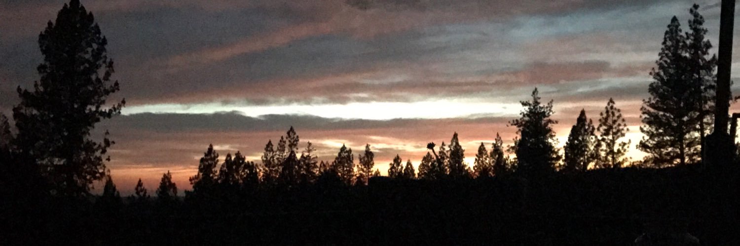 Roxanneavbc's profile banner image