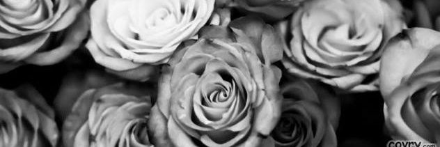 emanuelrbn's profile banner image