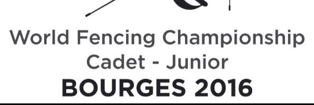 Bourges 2016 banner