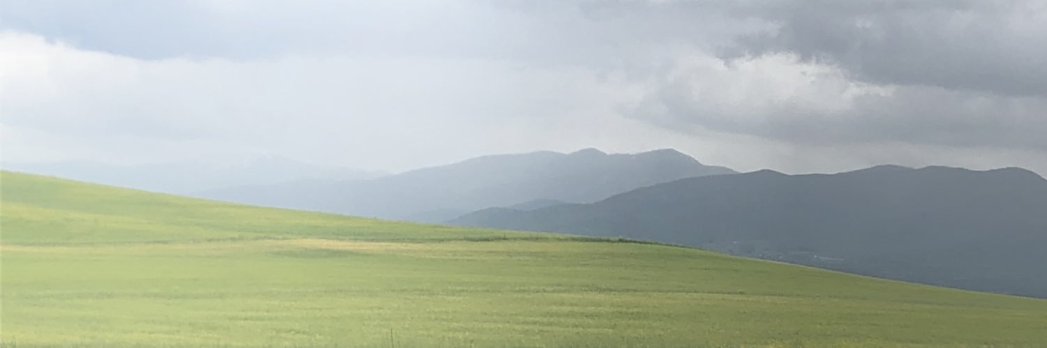 Iris NT banner
