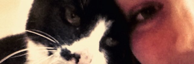 JennifMurphy's profile banner image