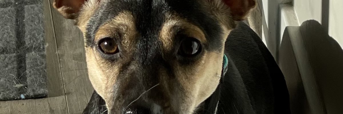 hula801's profile banner image