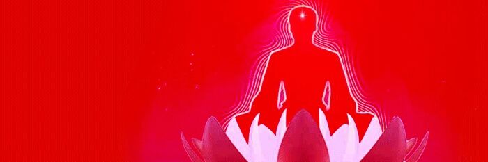 skshashi90's profile banner image
