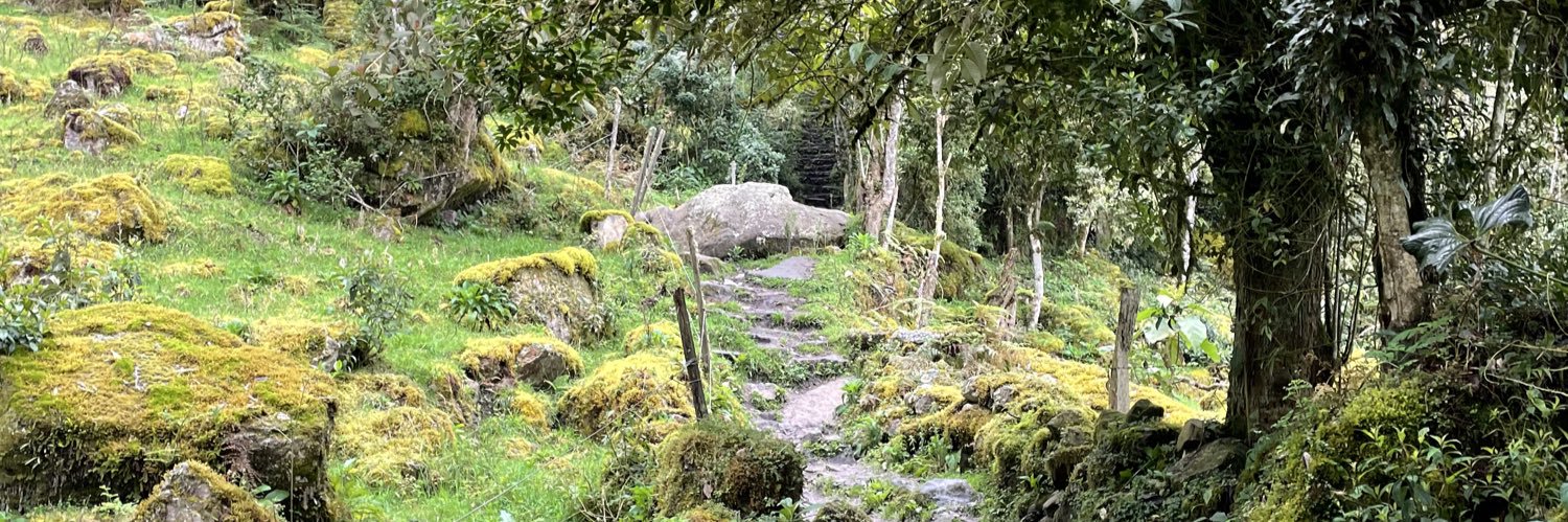 pablorubio98's profile banner image