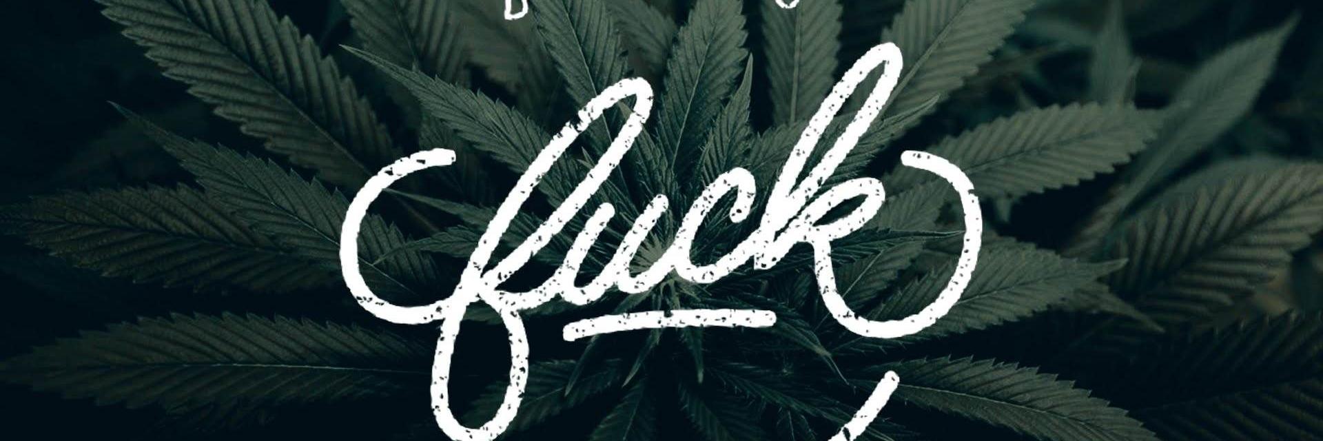 brunetelife's profile banner image