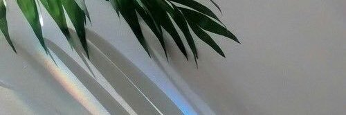 dosttoki's profile banner image