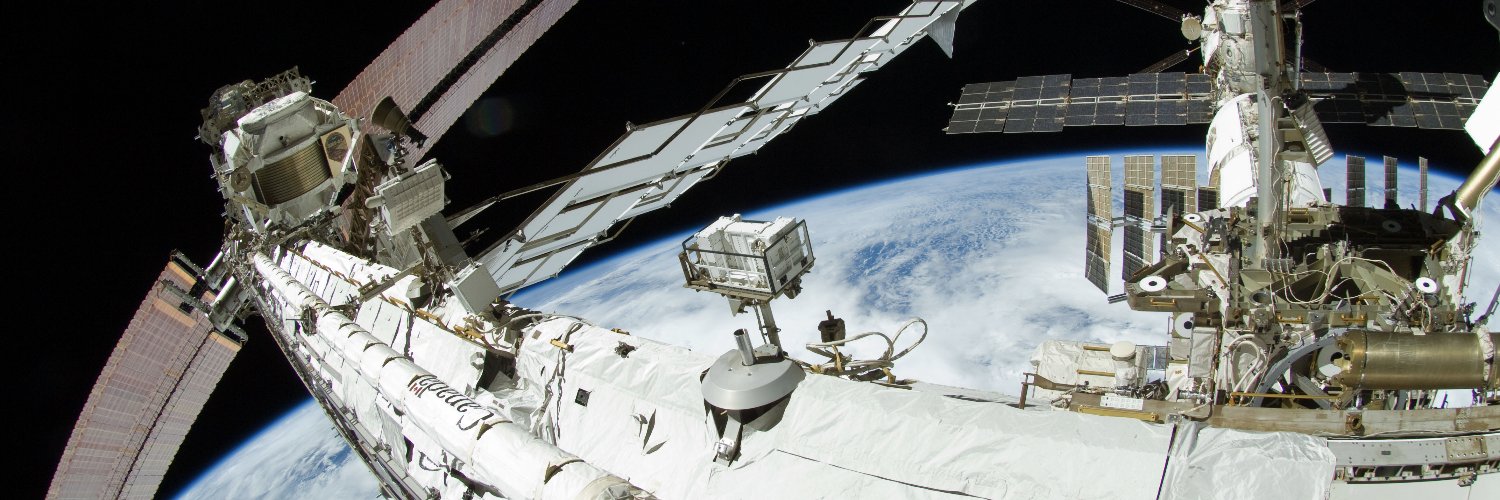 Mercedes Paniccia banner