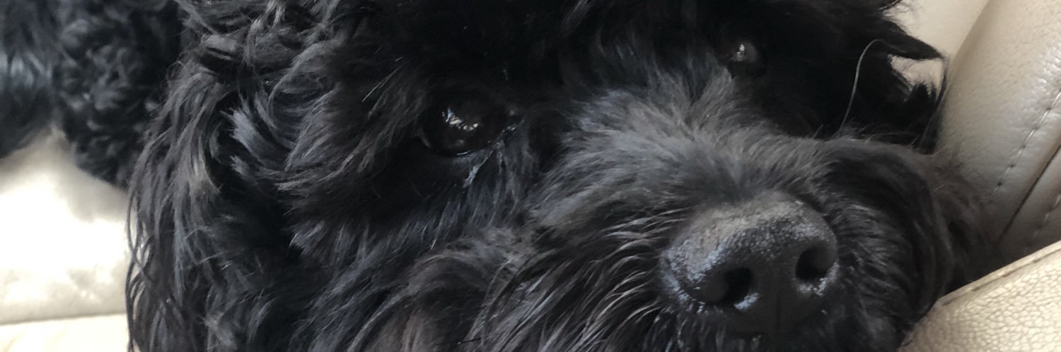 _haileebrown_'s profile banner image