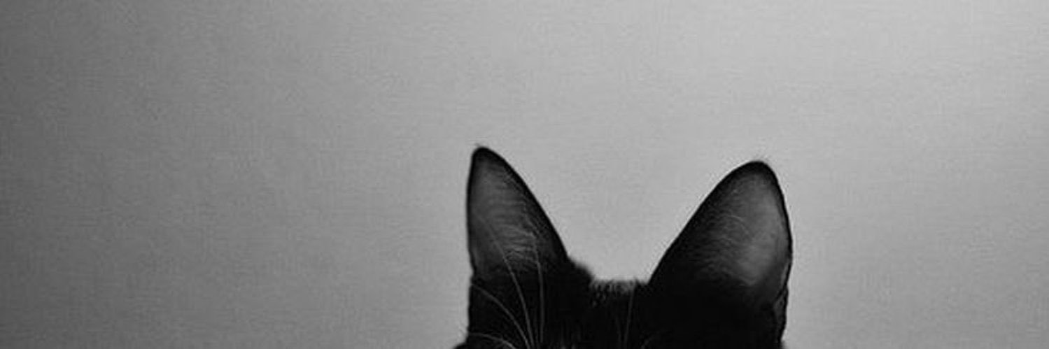 endiieu's profile banner image