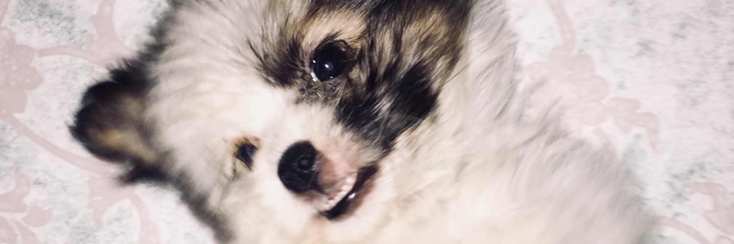 kiianneee's profile banner image