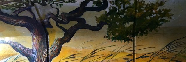 SusanEMcKibben's profile banner image