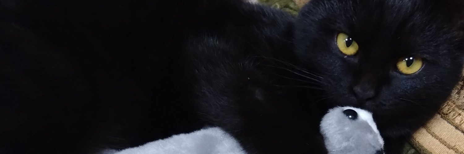 chocco_115's profile banner image