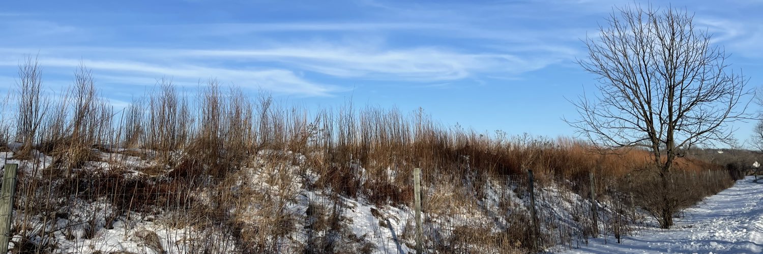 Maria Patriot banner