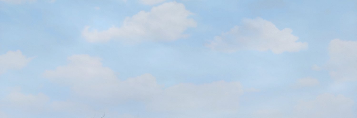 pi__tai's profile banner image
