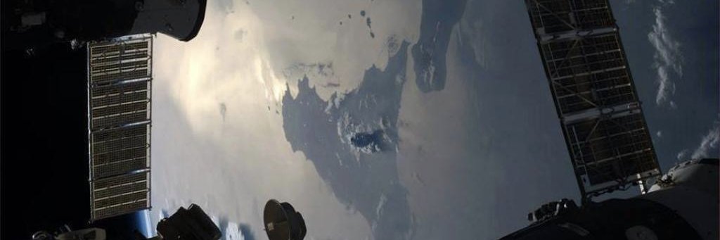 pandonico's profile banner image