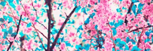 itzayanaaa's profile banner image