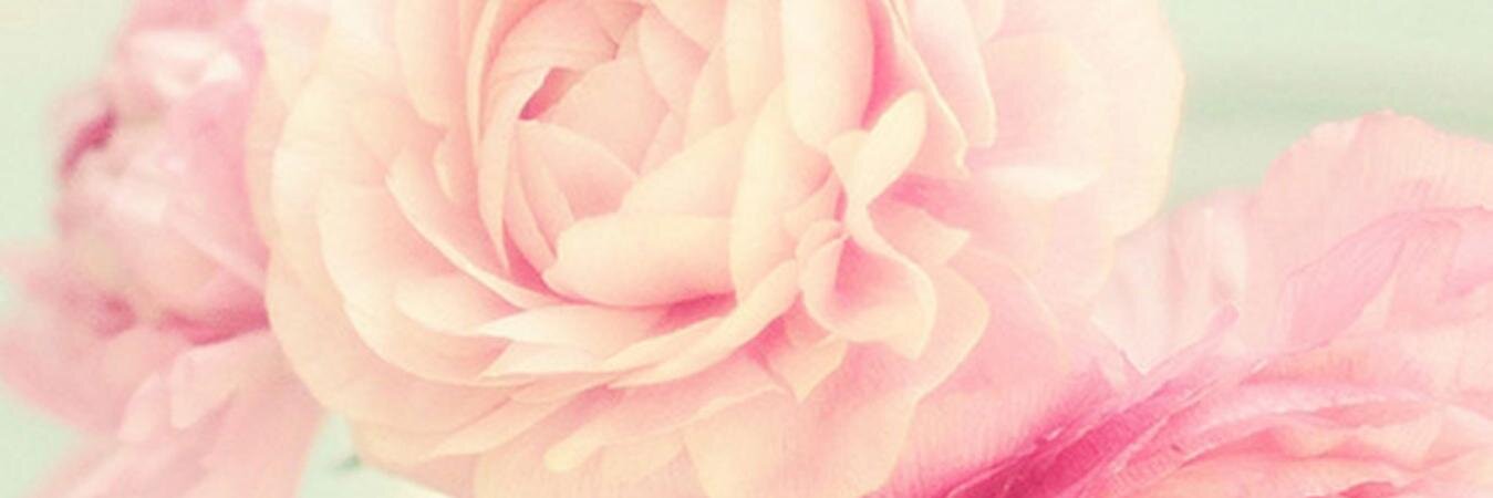 EdnaReneeSmith's profile banner image