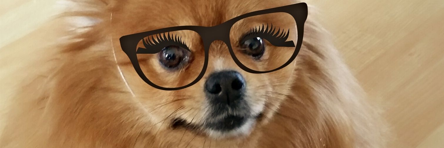 bethbarrxo's profile banner image