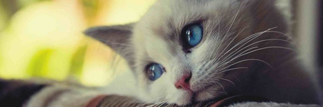 _fitri94's profile banner image