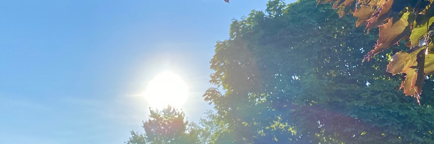 ReviewsSheROTE's profile banner image
