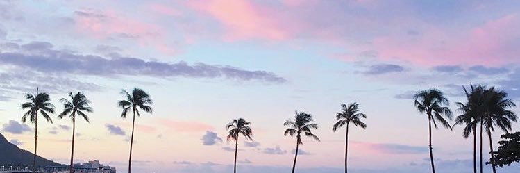 hirari8739's profile banner image