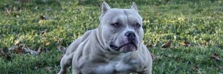 markesrey's profile banner image