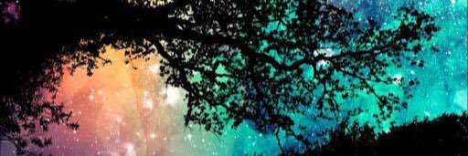 ぴぴ banner
