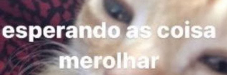 PatodeGalocha42's profile banner image
