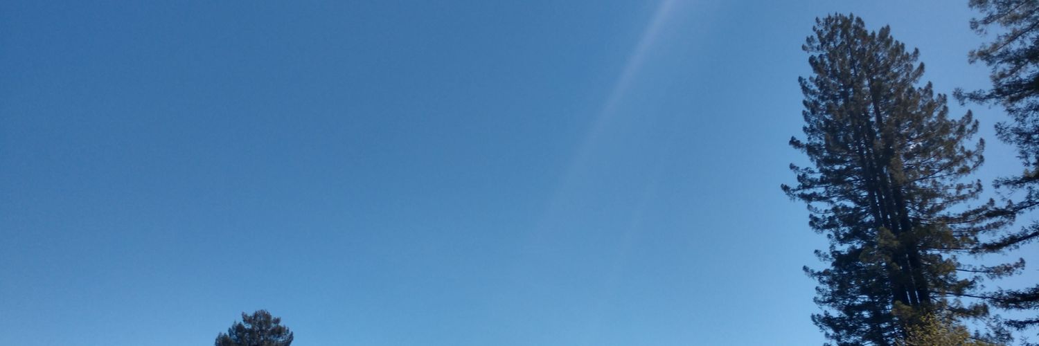 TravNogard's profile banner image