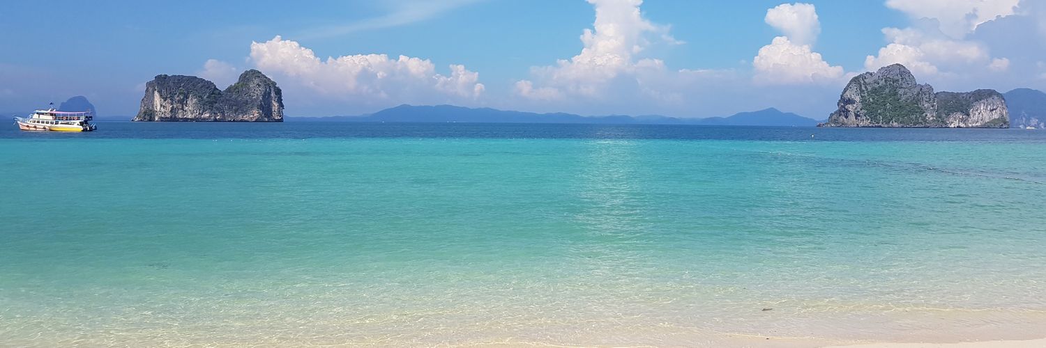 ArayaP39's profile banner image