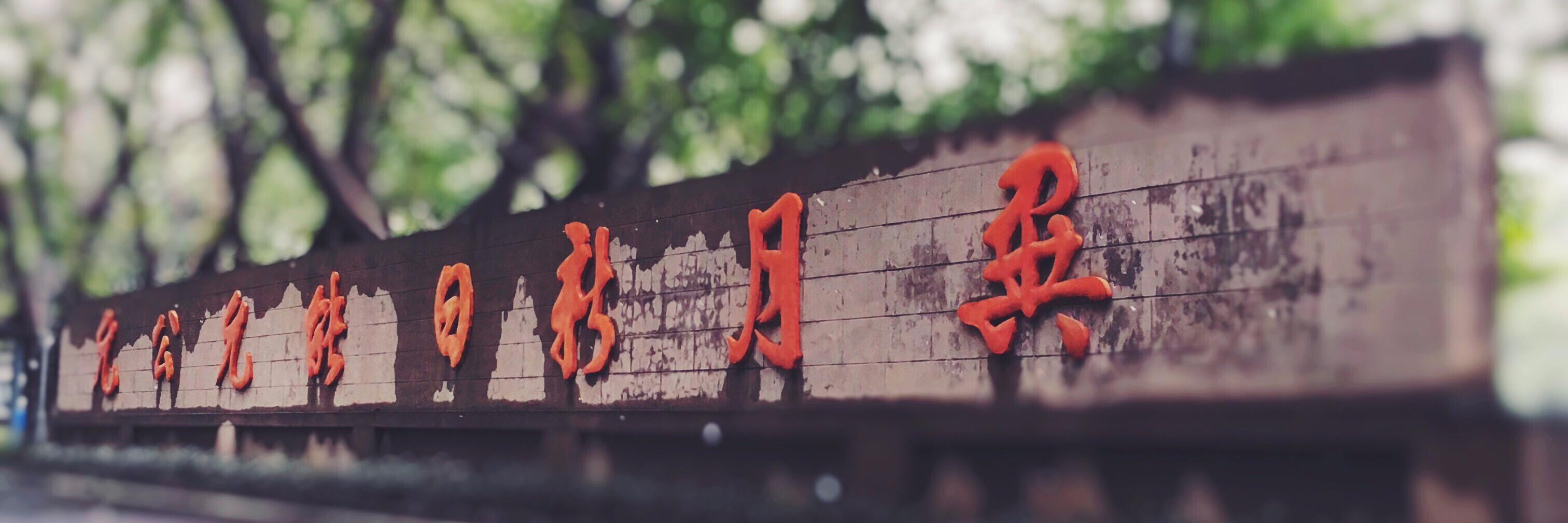 yinxisang's profile banner image