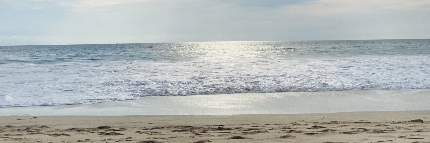 paulimiche's profile banner image