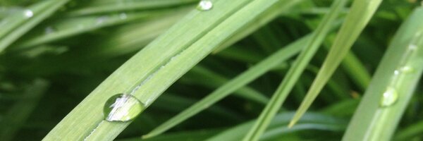 c6env Profile Banner