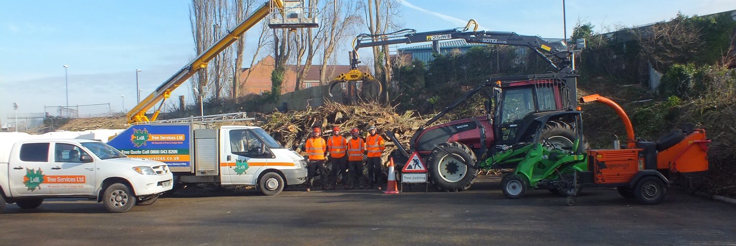 L&M Tree Services banner