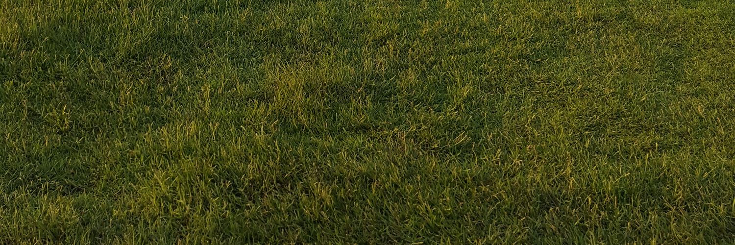 OmfaresL's profile banner image