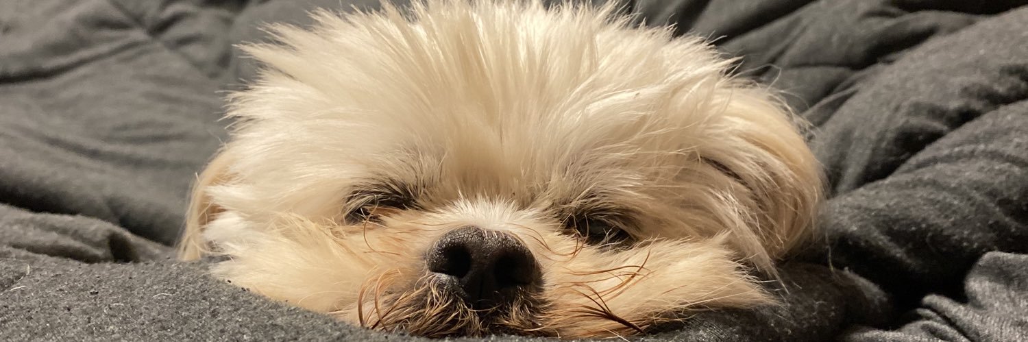 _mollyflook21's profile banner image